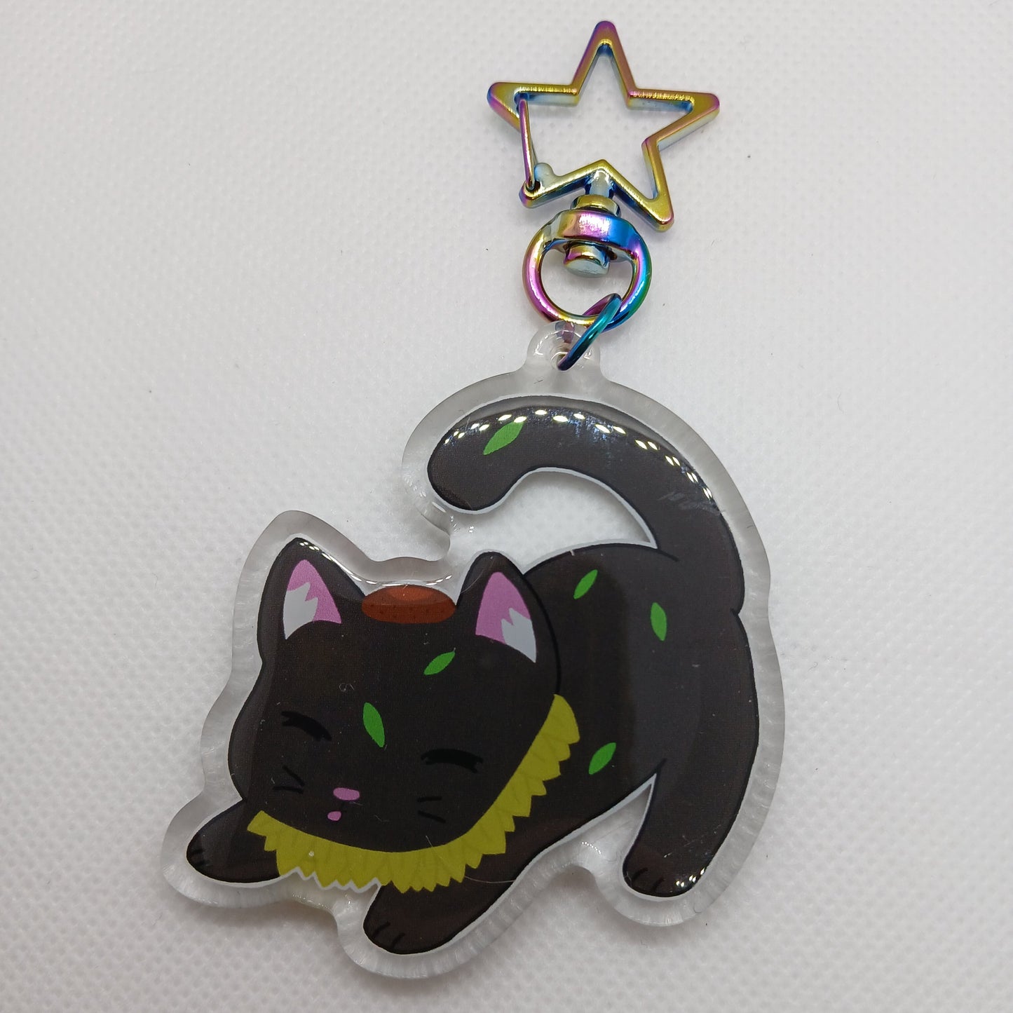 Sunny the plant cat 2.5" acrylic keyring